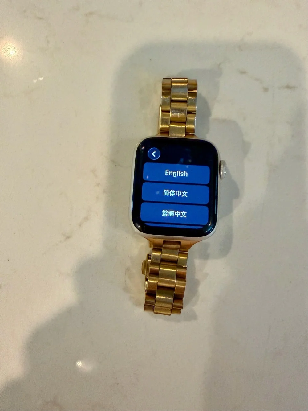 Apple Watch in Gold with Gold Metal Link Band